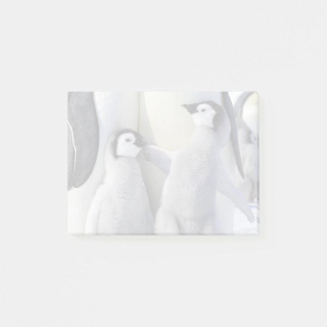 Notas Post-it® Emperador Pingüino Chick (Anverso)