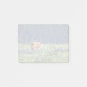 Notas Post-it® En la pradera