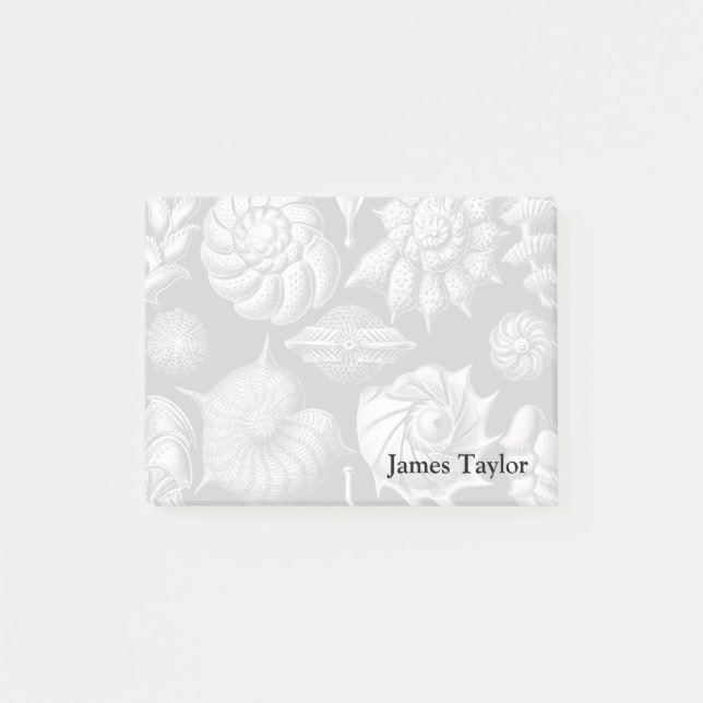 Notas Post-it® Ernst Haeckel Thalamophora II (Anverso)