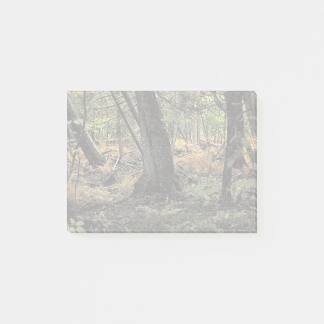 Notas Post-it® Escena forestal de otoño (Anverso)
