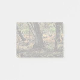 Notas Post-it® Escenario forestal de otoño