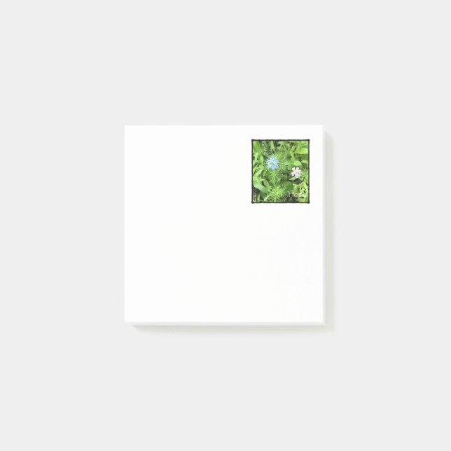 Notas Post-it® Esperanza 3 x 3 (Anverso)