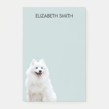 Espitz American Eskimo Dog