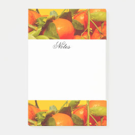 Notas Post-it® Estética de fruta Naranja suave