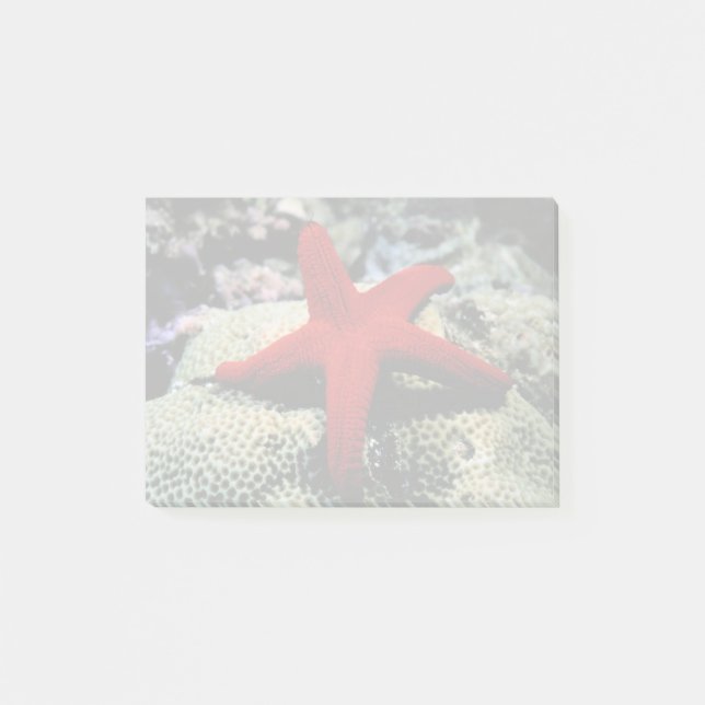 Notas Post-it® Estrella| Mar Rojo (Anverso)