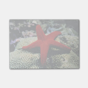 Notas Post-it® Estrella  Mar Rojo