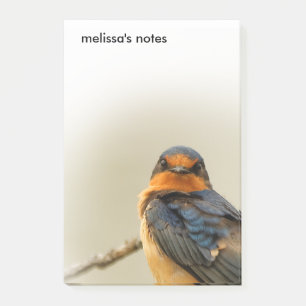Notas Post-it® Estrellas de comercio con el pájaro del Tragón de