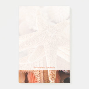 Notas Post-it® Estrellas de mar secas vendidas como souvenirs 2
