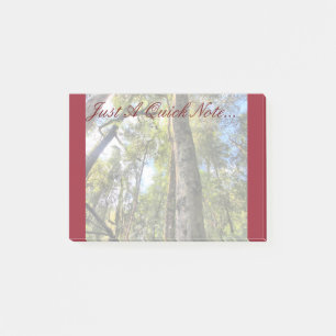 Notas Post-it® Eucaliptus Gum Trees de la selva tropical australi