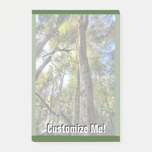 Notas Post-it® Eucaliptus Gum Trees de la selva tropical australi