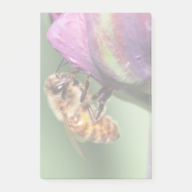 Notas Post-it® Faln Fuzzy Little Bee (Anverso)