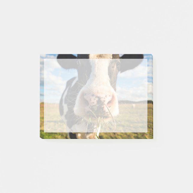 Notas Post-it® Farms | Holstein Cow Chewing (Anverso)