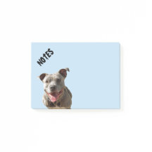 Feliz sonriente Pitbull