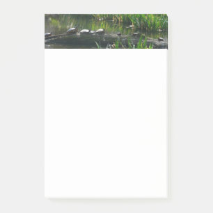 Notas Post-it® Fila de la naturaleza verde de las tortugas