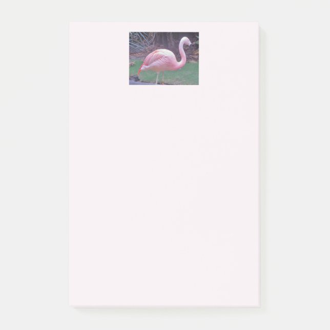 Notas Post-it® Flamingo realmente rosa (Anverso)