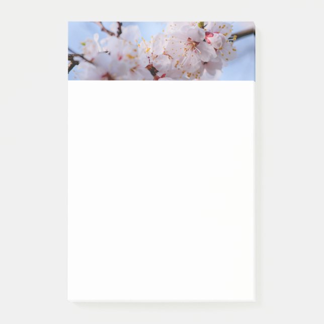 Notas Post-it® Flor de albaricoque japonés (Anverso)