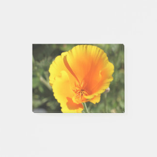 Notas Post-it® Flor de amapola de California