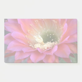 Notas Post-it® Flor de cactus rosado en el desierto