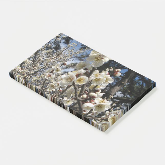 Notas Post-it® Flor de cerezo blanco / サ・(桜) Sakura/Sakura de cer (En perspectiva)