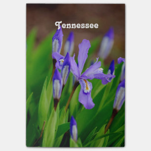 Notas Post-it® Flor de estado de Tennessee