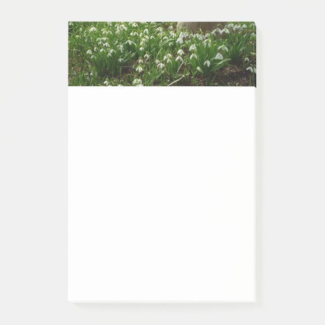 Notas Post-it® Floral de primavera (Galanthus) (Anverso)