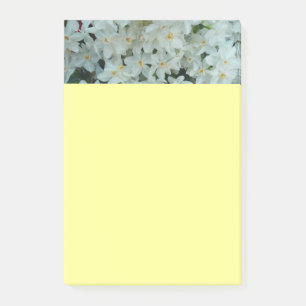 Notas Post-it® Flores blancas de arcissus paperblancas
