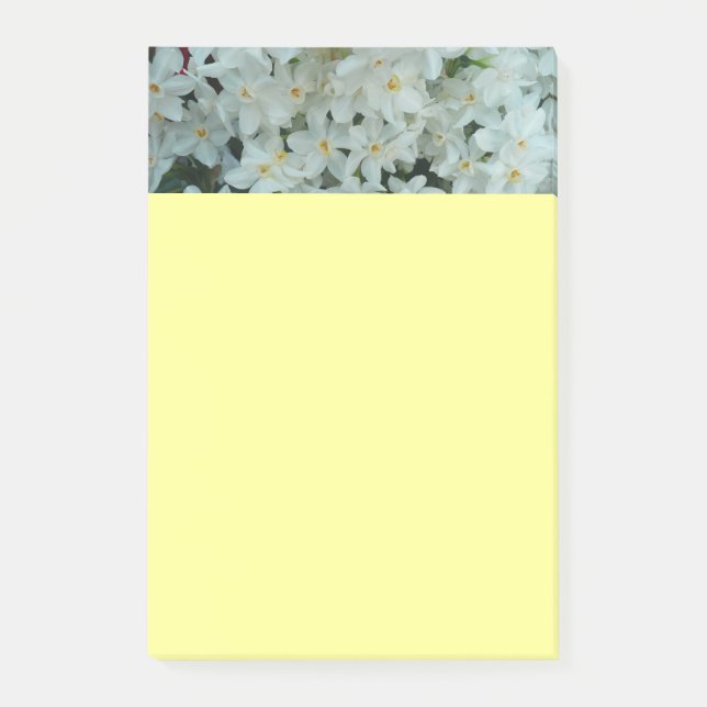 Notas Post-it® Flores blancas de arcissus paperblancas (Anverso)