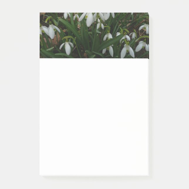 Notas Post-it® Flores de Primavera Blanca (Galanthus) (Anverso)