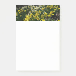 Notas Post-it® Flores de primavera de los Daffodils amarillos y b