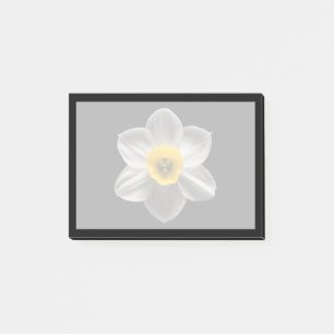 Notas Post-it® Flowers   White Daffodil Flower