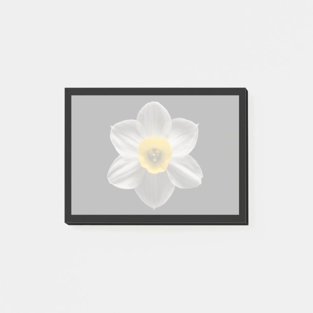 Notas Post-it® Flowers | White Daffodil Flower (Anverso)