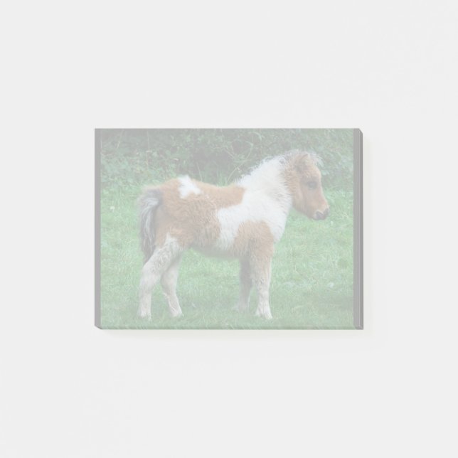 Notas Post-it® Fluffy Adorable Dartmoor Pony (Anverso)