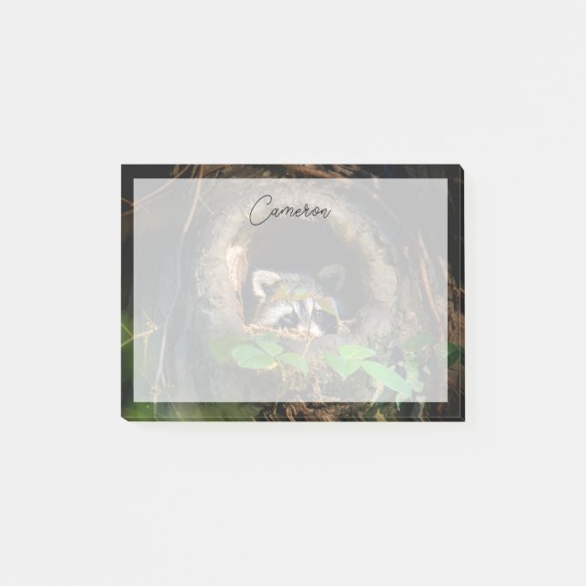 Notas Post-it® Forests | Raccoon Peeking (Anverso)