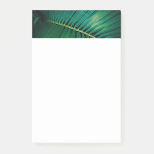 Notas Post-it® Foto de la naturaleza tropical de la hoja verde
