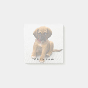 Notas Post-it® Foto de Perro Perro Perro Personalizado Cuppy