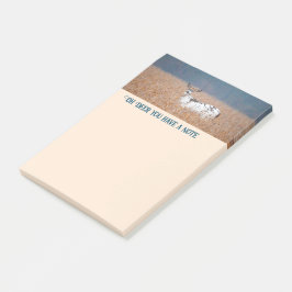 Notas Post-it® Foto de Piebald Deer