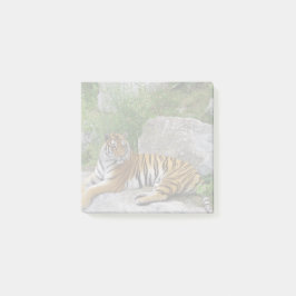 Notas Post-it® Foto de retrato de un tigre siberiano