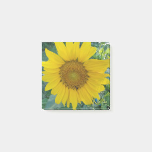 Notas Post-it® Foto de Sunflower