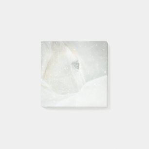 Notas Post-it® Foto de un hermoso caballo blanco en invierno