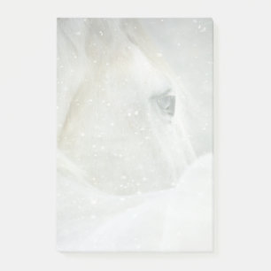 Notas Post-it® Foto de un hermoso caballo blanco en invierno