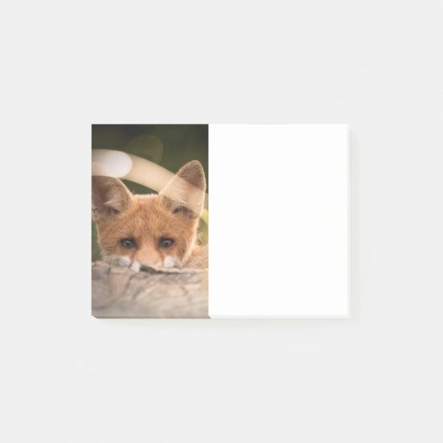 Notas Post-it® Foto de un Pequeño Naranja Fox (Anverso)