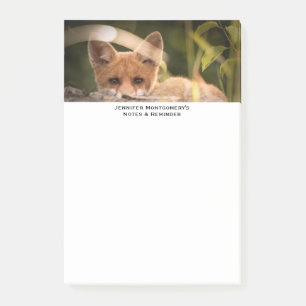Notas Post-it® Foto de un Pequeño Naranja Fox