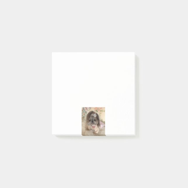 Notas Post-it® Foto de un Personalizado lindo (Anverso)