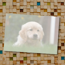 Notas Post-it® Foto personalizada | Convertir automáticamente tu