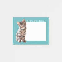 Foto personalizada del gatito del gato de Tabby
