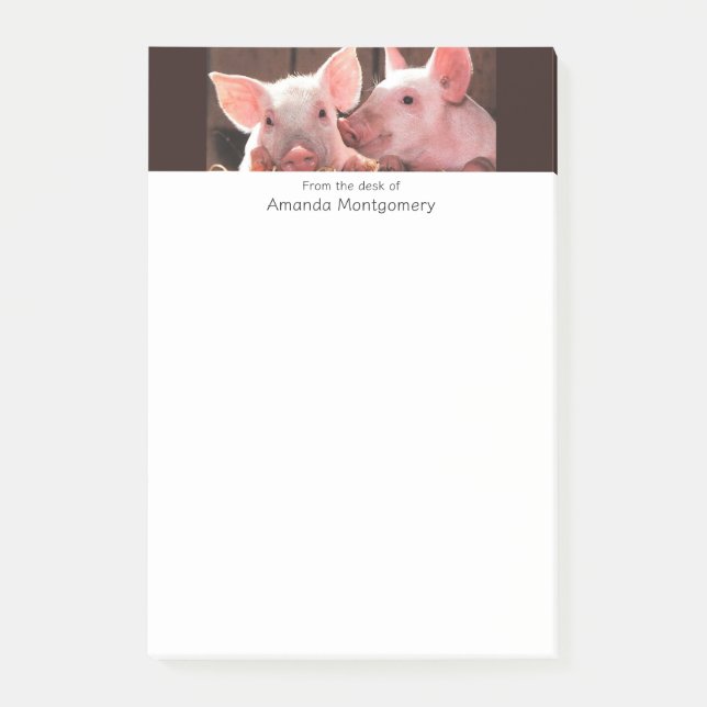 Notas Post-it® Fotografía animal de lechones rosados (Anverso)