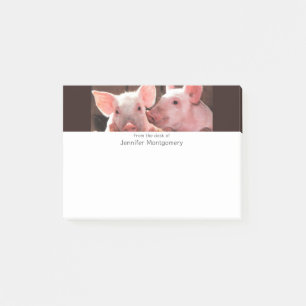 Notas Post-it® Fotografía animal de lechones rosados