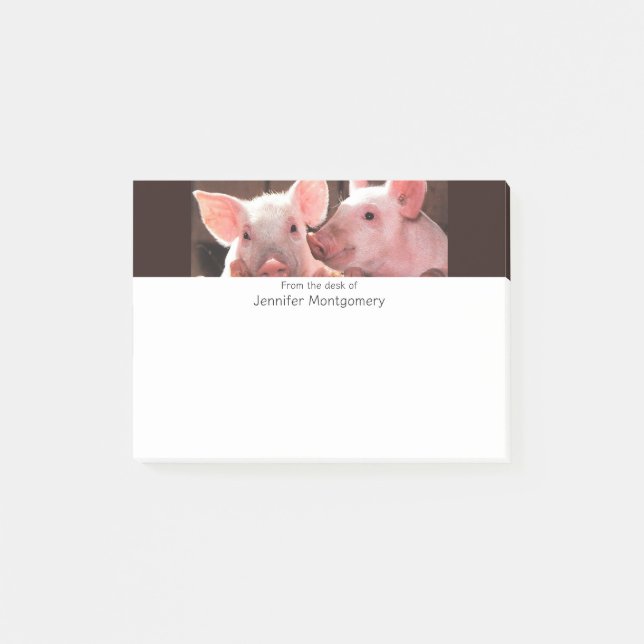 Notas Post-it® Fotografía animal de lechones rosados (Anverso)