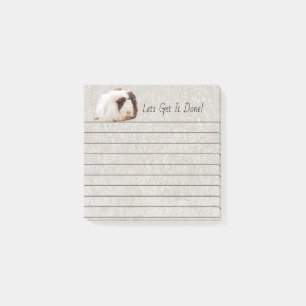 Notas Post-it® Fotografía blanca adorable del mascota del