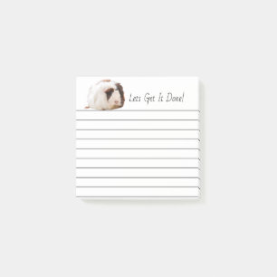 Notas Post-it® Fotografía blanca adorable del mascota del